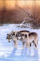 wolves in snow scene